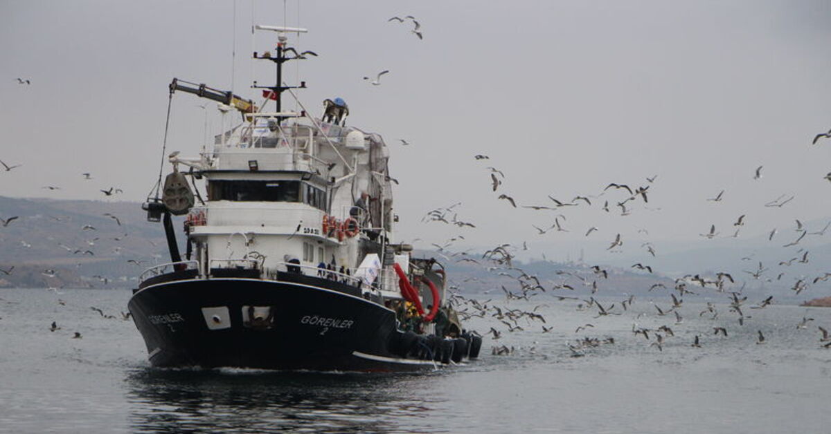 Prof. Öztürk’ten Marmara Denizi için korkutan uyarı