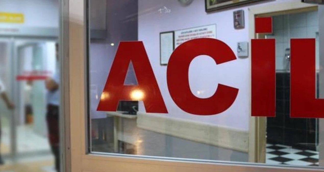 Direğe çarpan otomobile 2 kişi yaralandı
